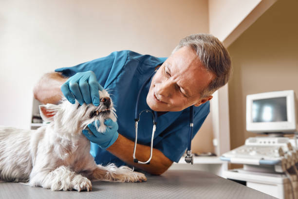 Best Emergency Treatment for Dental Infections or Abscesses in Berly, MO